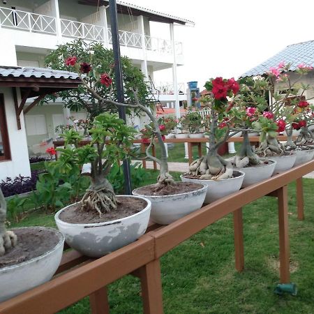 Brisamar Hotel Pousada Barra de São Miguel Esterno foto